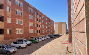 photo 2026 02 07 14 22 06